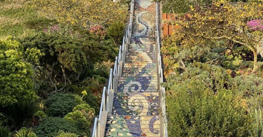 San Francisco's Wild Side, Ecotour With Meteorologist - Where the wild starts: Golden Gate Park, redwoods, and city-scale nature