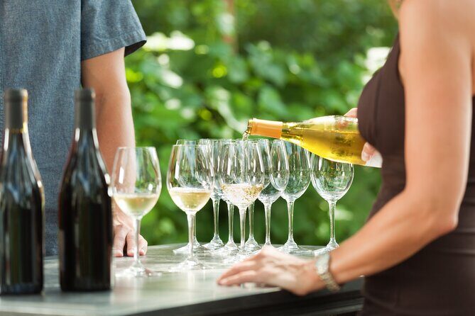 Small-Group Giant Redwoods and Russian River Wine Country Trip - Key highlights at a glance