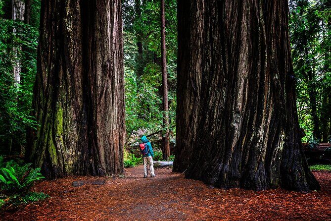 Small-Group Giant Redwoods and Russian River Wine Country Trip - Guerneville stop: a real river-town reset