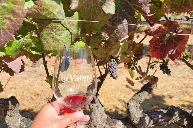 Small Group Napa and Sonoma Full-Day Wine Tour from San Francisco - Stop 2: Sonoma Plaza Time and Why It’s More Than a Break