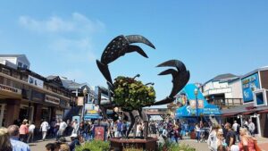 Small Group Napa and Sonoma Half-Day Wine Tour from San Francisco - Sausalito: the scenic Bay break (and why it works)