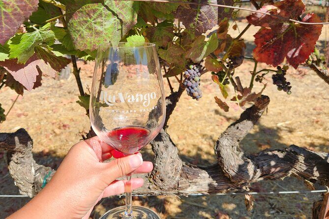 Small Group Napa and Sonoma Half-Day Wine Tour from San Francisco - Napa Valley: finishing strong with a second winery experience