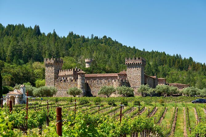Small Group Napa Valley Tour for Wine Lovers - Castello di Amorosa: the medieval castle winery that sets the tone