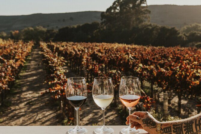 Small Group: Ultimate Napa & Sonoma Wine Tour from San Francisco - Sonoma Square lunch: your best chance to customize the day