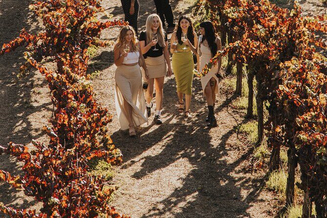 Small Group: Ultimate Napa & Sonoma Wine Tour from San Francisco - Transportation, comfort, and the small-group advantage