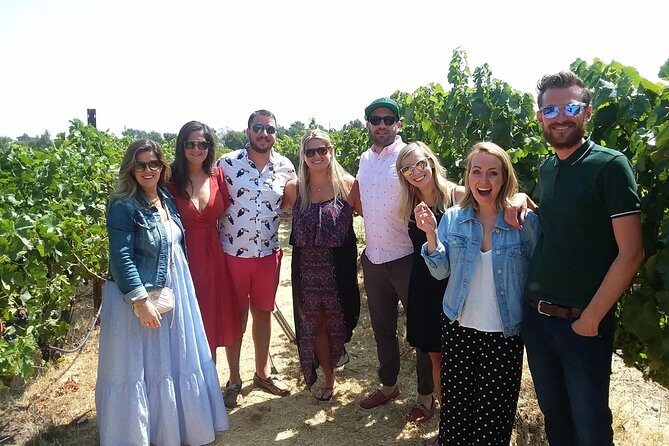 Small-Group Wine Country Tour from San Francisco with Tastings - Why this Sonoma tour feels easier than DIY