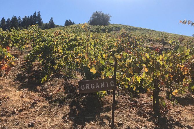 Small-Group Wine Country Tour from San Francisco with Tastings - Sausalito boardwalk, Golden Gate views, and ferry math