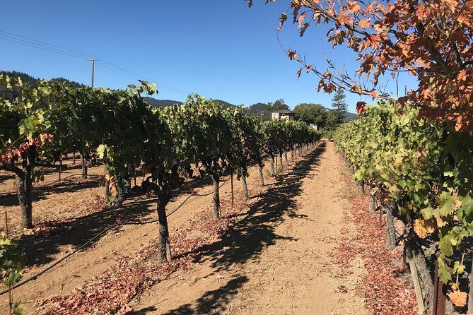 Small-Group Wine Country Tour from San Francisco with Tastings - Getting the timing right: what a long day feels like