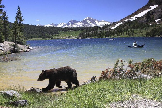 Small Group Yosemite and Giant Sequoias Day Trip from San Francisco - Yosemite Valley free time: use the 2 hours wisely