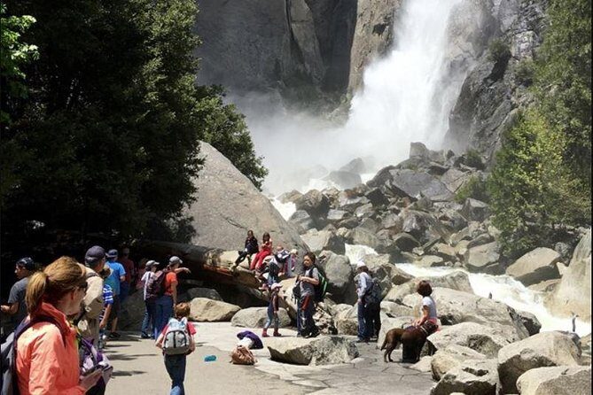 Small Group Yosemite and Giant Sequoias Day Trip from San Francisco - El Capitan and the rock-climber moment you can watch