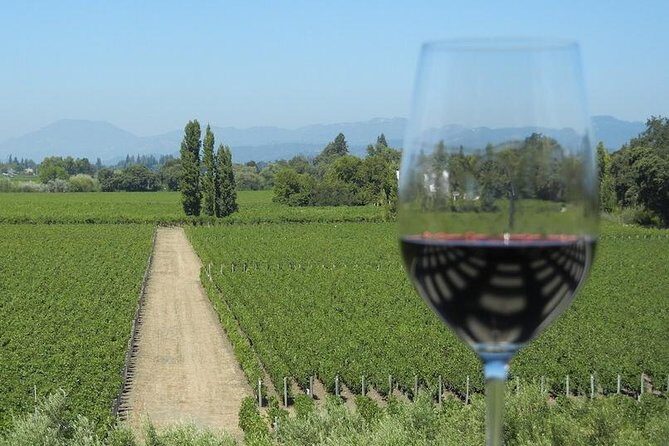 Sonoma Wine Tour with 2 Tastings Included Small-Group Half Day - Getting Picked Up in San Francisco (and Why It Matters)