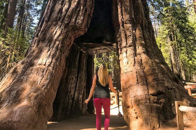 Yosemite 3-Day Camping Adventure from San Francisco - A Yosemite camping trip that trades speed for meaning