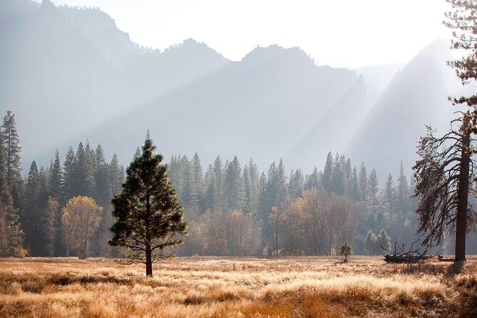 Yosemite Highlights & Giant Sequoias Day Tour from San Francisco - Breakfast stop and guide stories before you hit the park