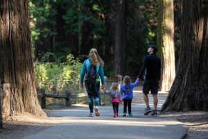Yosemite Highlights & Giant Sequoias Day Tour from San Francisco - Tunnel View, Bridalveil Fall, and the fast photo circuit