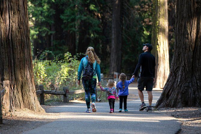 Yosemite Highlights & Giant Sequoias Day Tour from San Francisco - Tunnel View, Bridalveil Fall, and the fast photo circuit