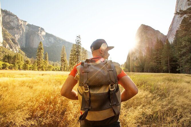 Yosemite National Park 2-Day Tour from San Francisco with Lodging - Hiking Reality Check: What You Might Actually Do on the Ground