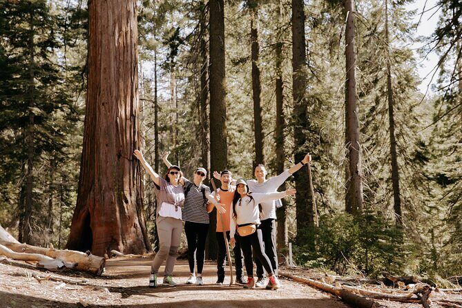 Yosemite National Park & Giant Sequoias 2-Day Semi-Guided Tour - San Francisco early pickup and what that means for your day