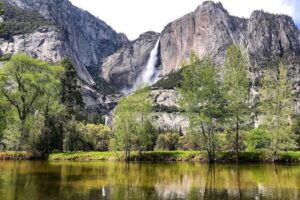 Yosemite Valley 3-Day Camping Adventure - Giant sequoias and a picnic stop before Yosemite