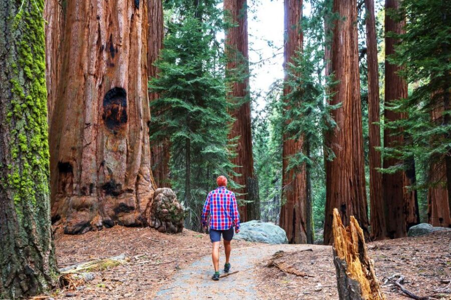 Yosemite Valley 3-Day Camping Adventure - What to bring (and what can surprise you)